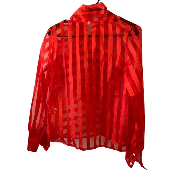 Sheer Blouse - Picture 3 of 4